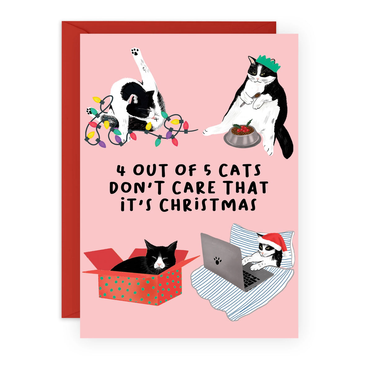 Tom's Christmas Dinner - Funny Cat Christmas Card - Groceries