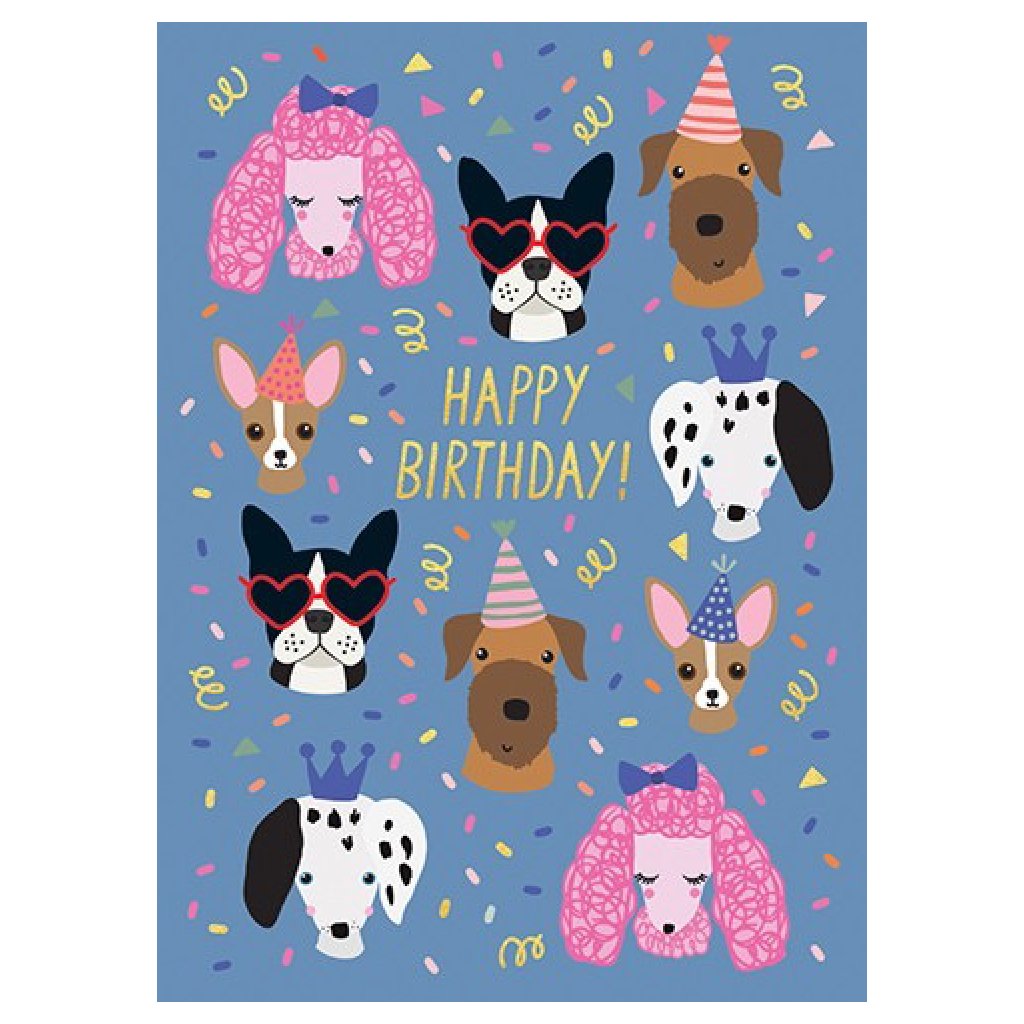 Birthday Party Dogs Card by Calypso Cards – Outer Layer