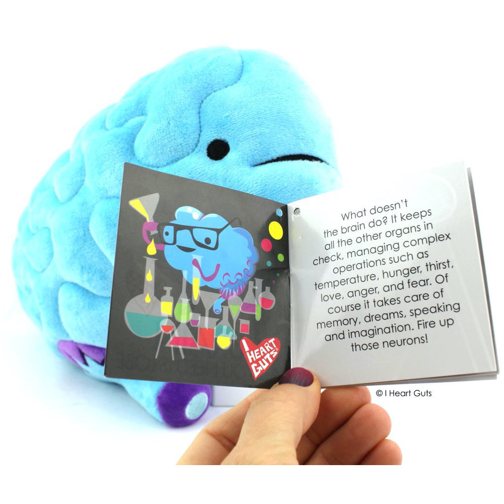 Brain Plush Booklet