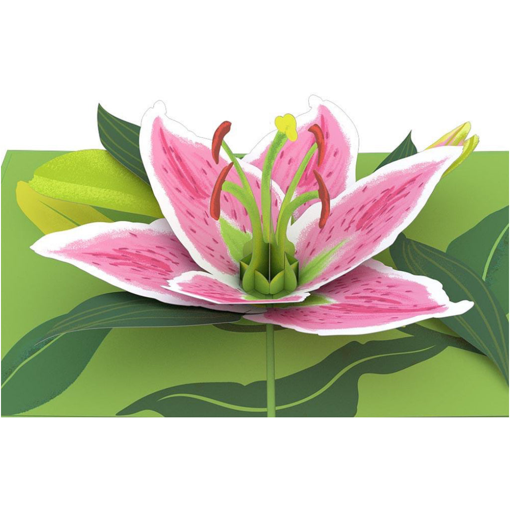 Lily Bloom 3D Pop Up Card by LovePop – Outer Layer