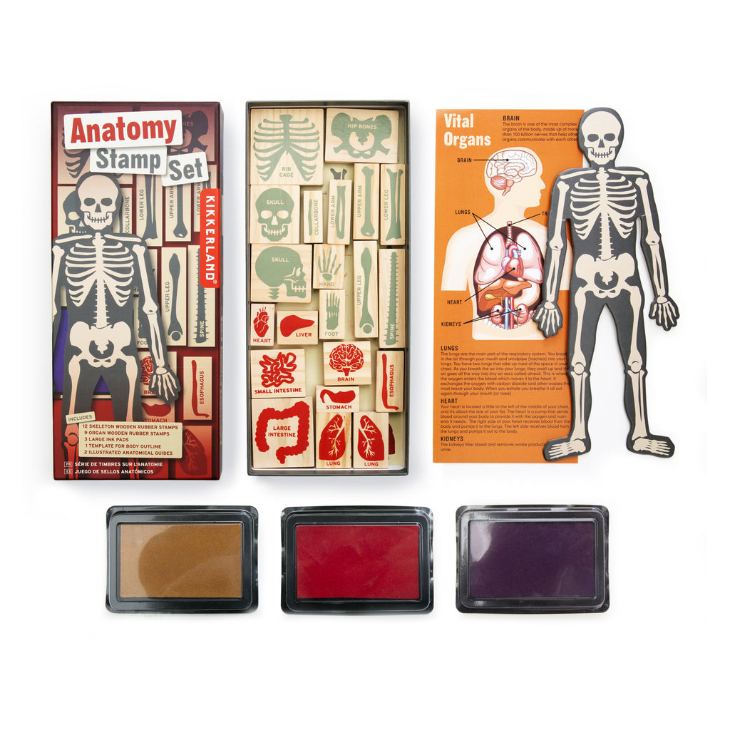 Anatomy Stamp Set.