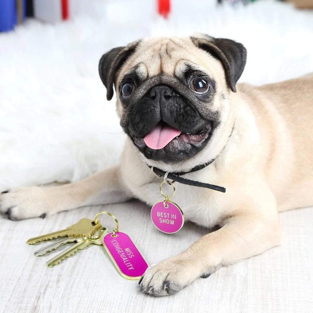 Best In Show Key Chain  Dog Tag Set Shown With Dog