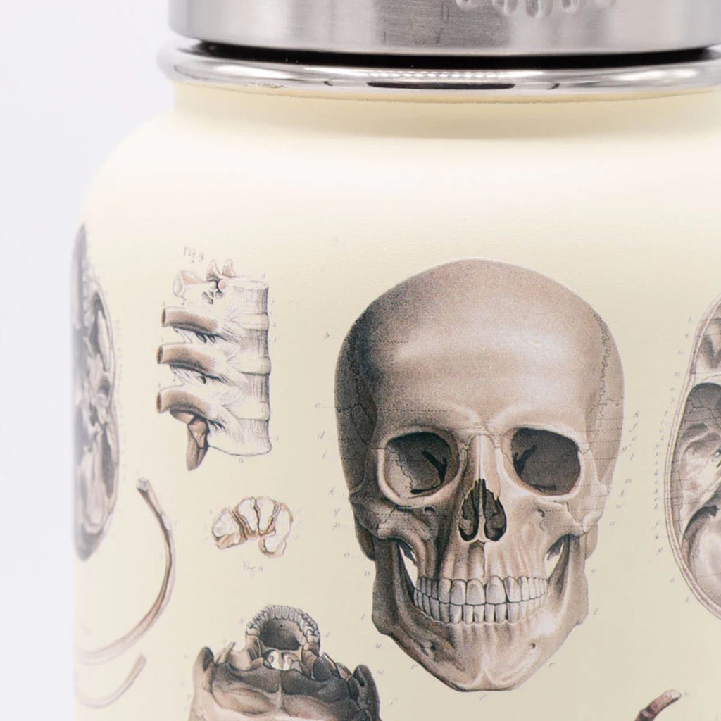 Close-up view of Skeleton 32 oz Stainless Steel Bottle.