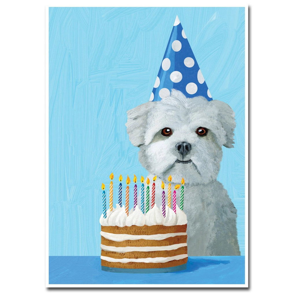 Fluffy White Dog and Cake Birthday Card.