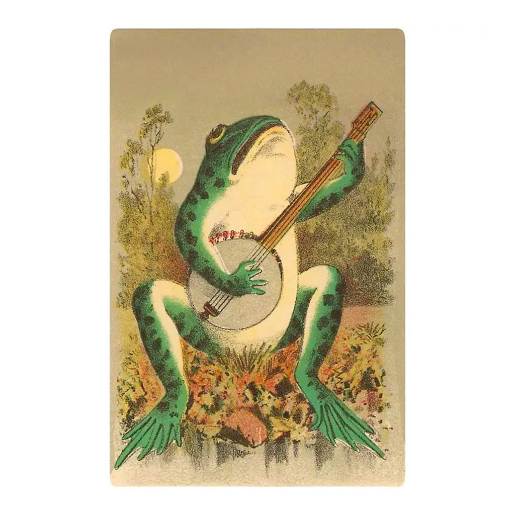 Frog Playing Banjo in Moonlight Postcard.