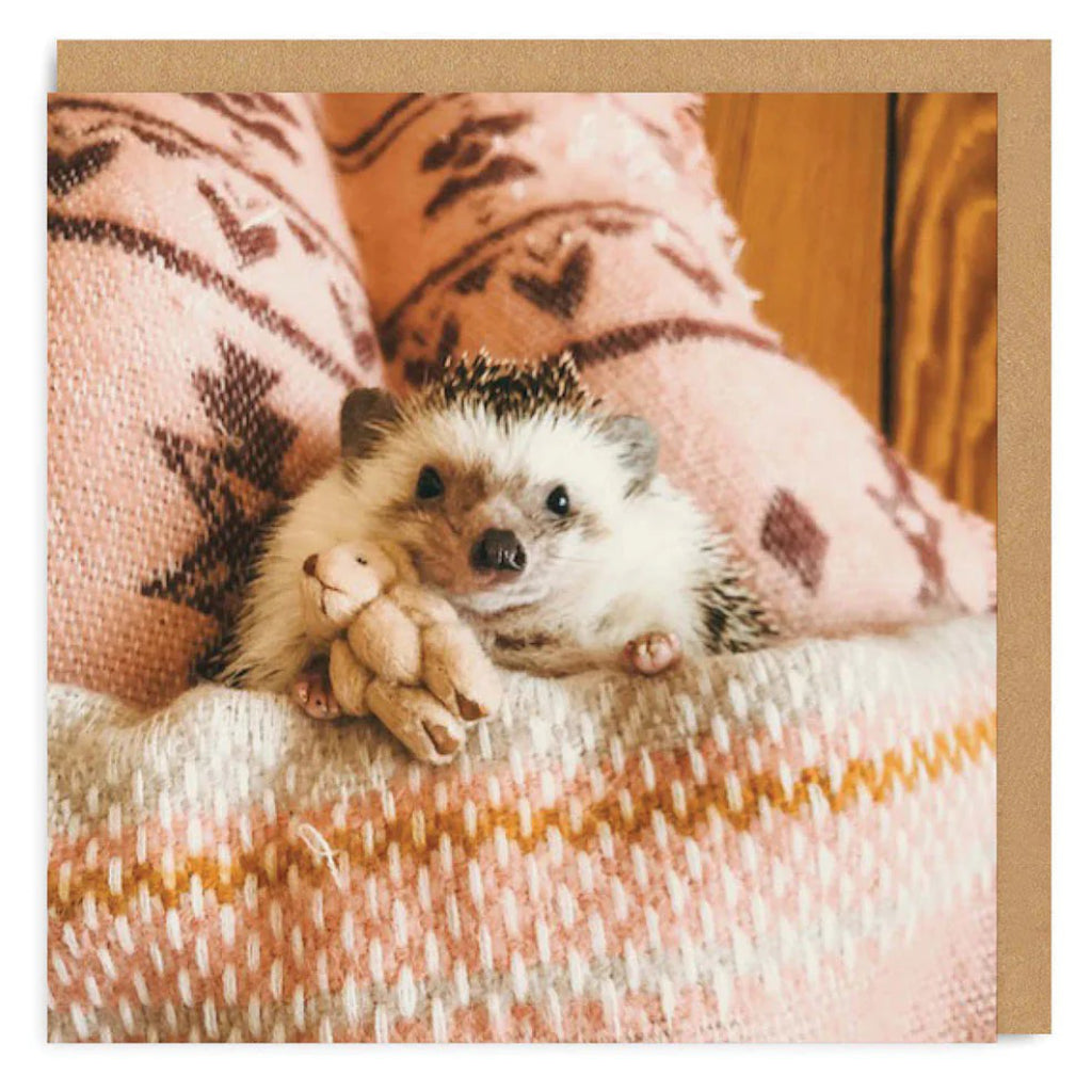 Hedgehog In Bed Greeting Card.