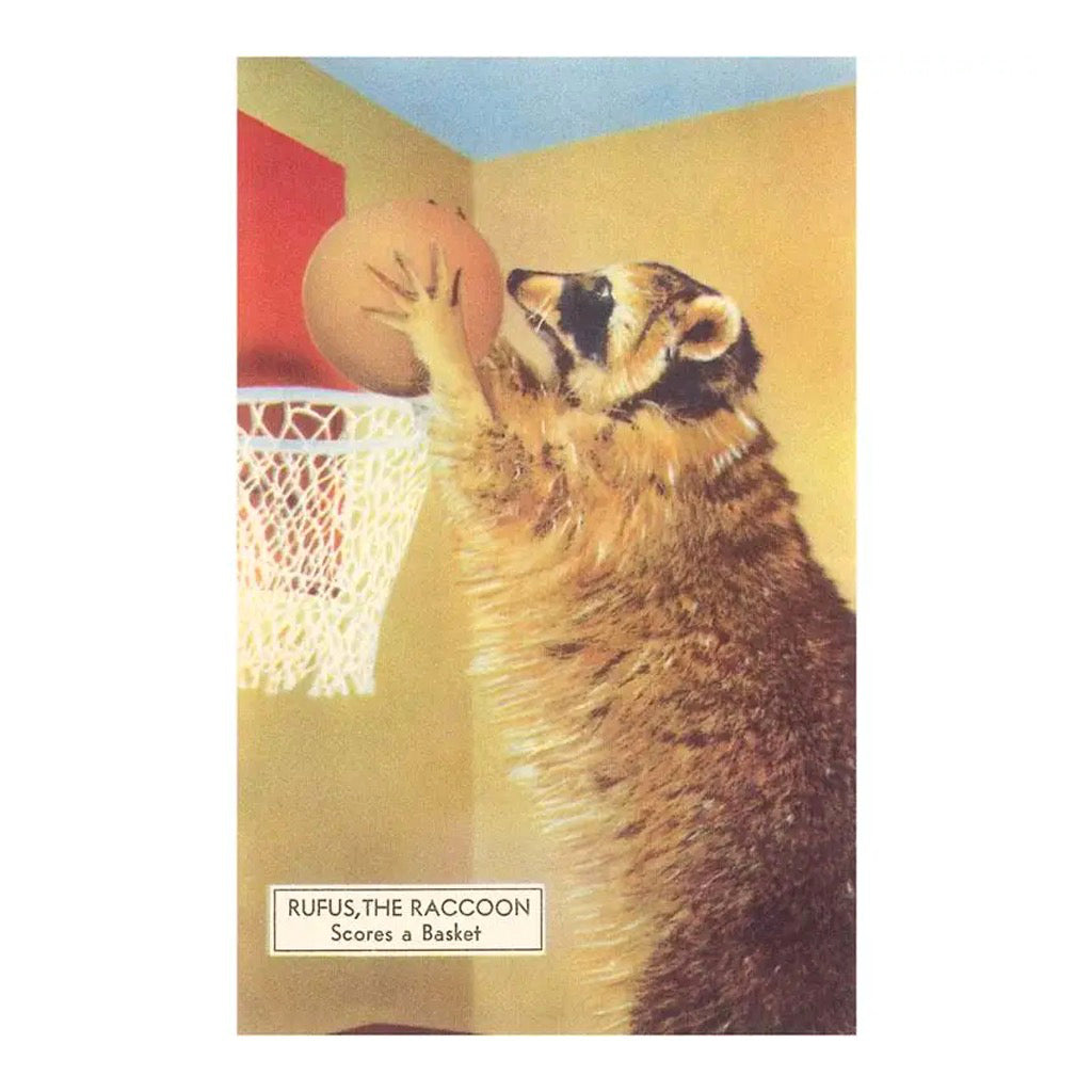 Raccoon Playing Basketball Vintage Image Postcard.