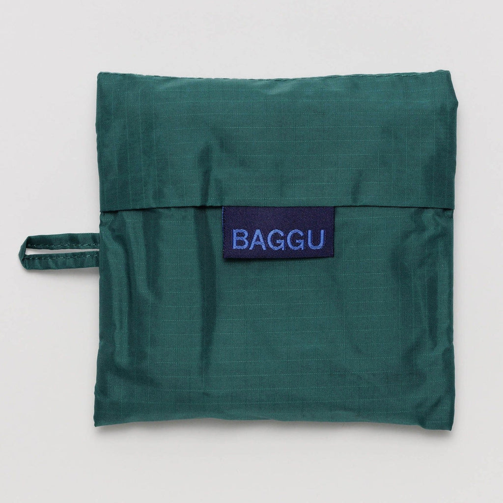 Standard Baggu Malachite folded.