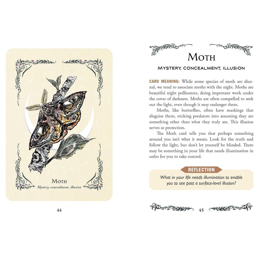 The Green Witch's Oracle Deck moth spread.
