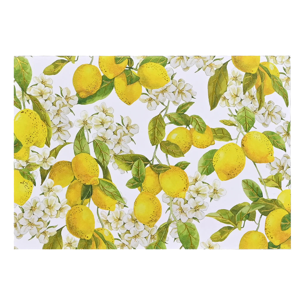 Amalfi Lemons Boxed Note Cards.