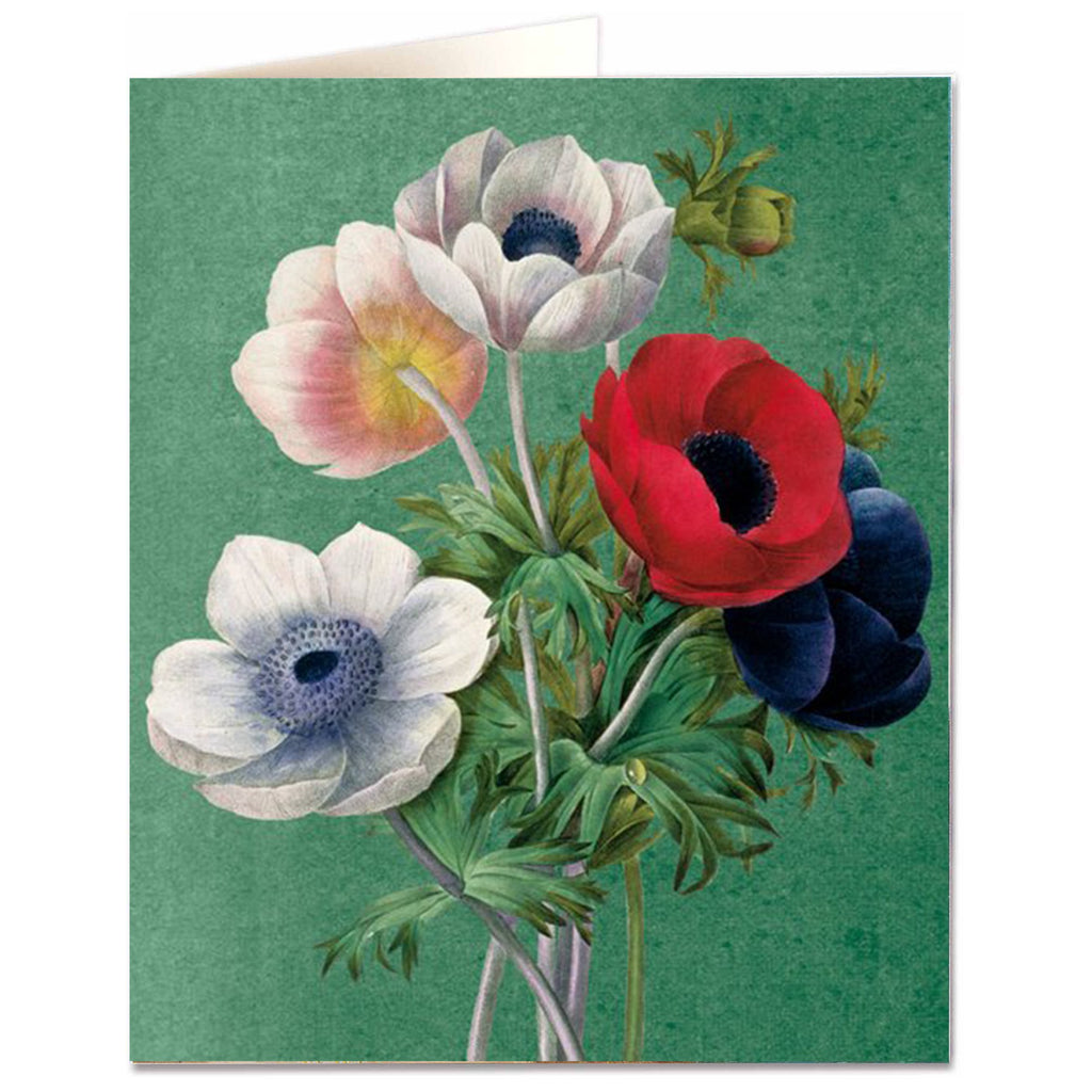 Anenome Card.