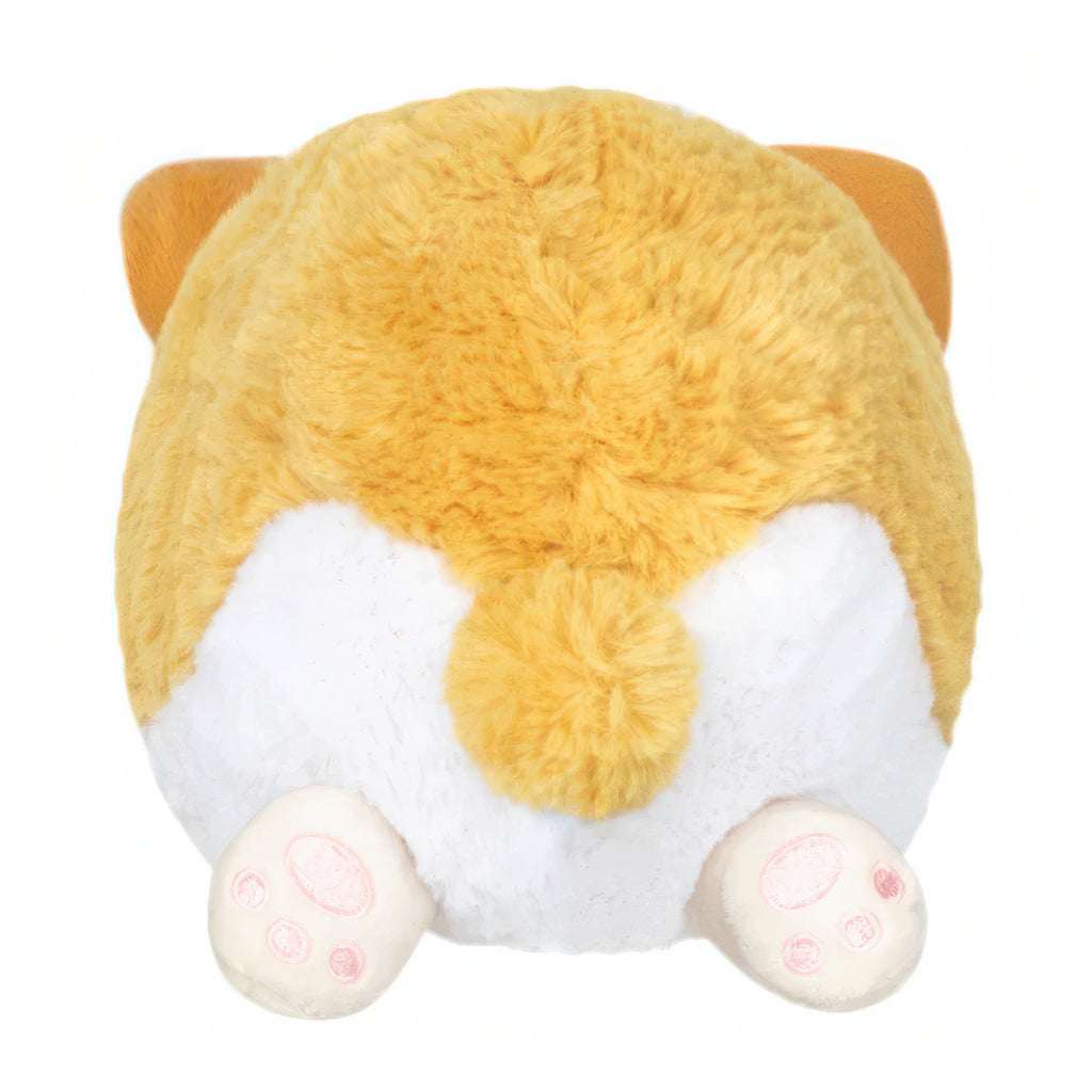 Back of Snacker Baby Corgi.