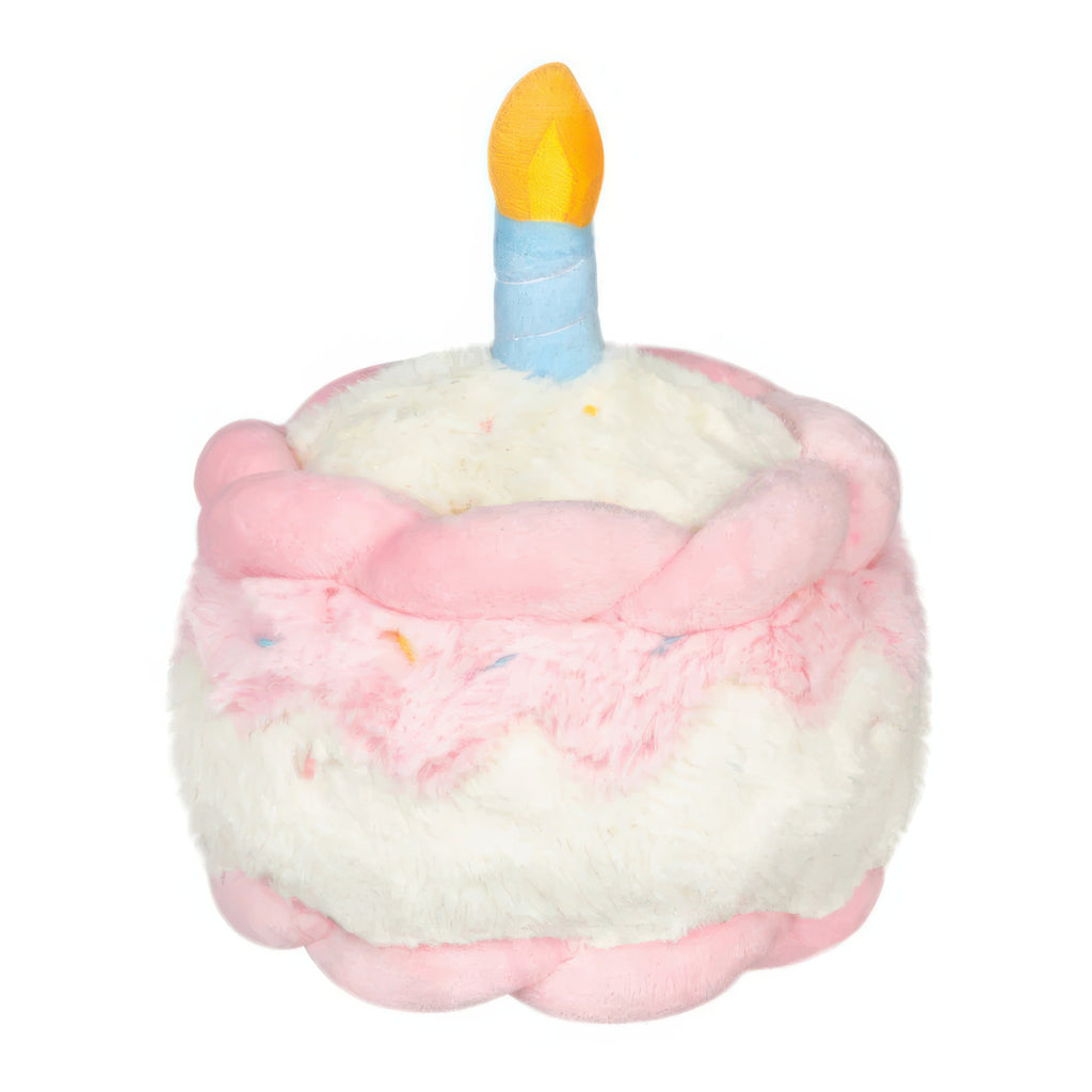 Back of Snacker Happy Birthday Cake.