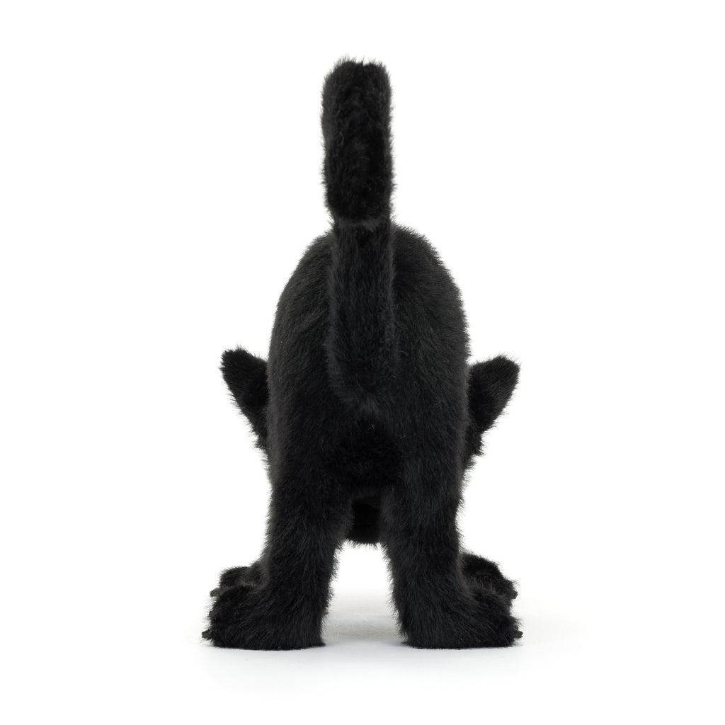 Back of Spookipaws Cat.
