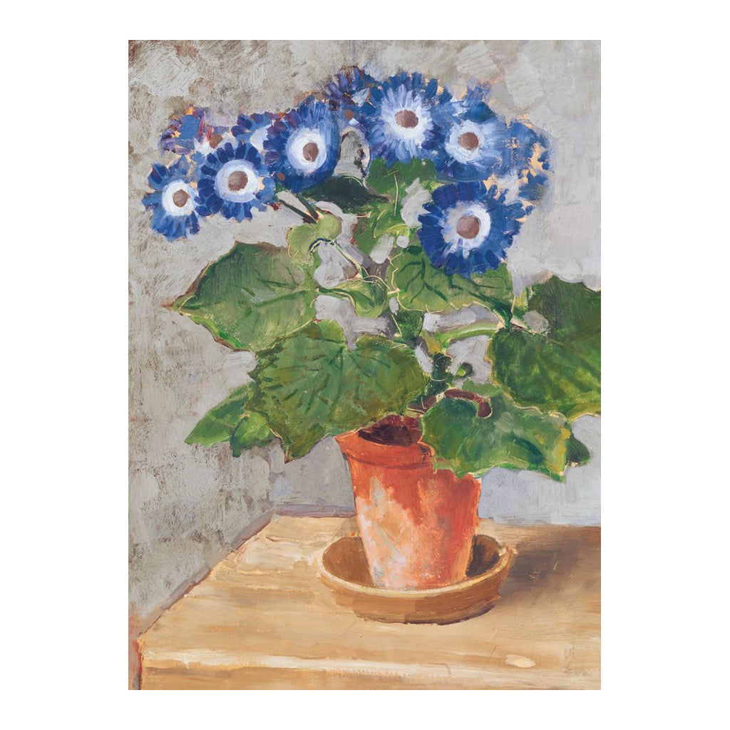 Blue Cineraria Blank Card.