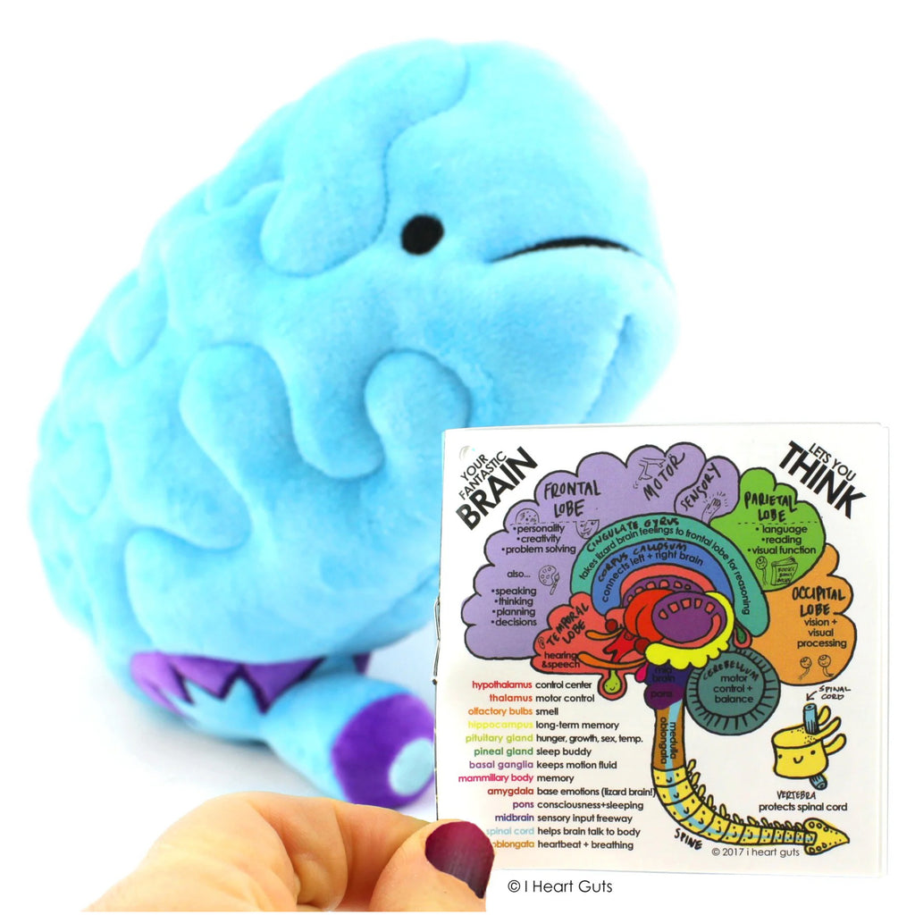 Brain Plush with booklet.