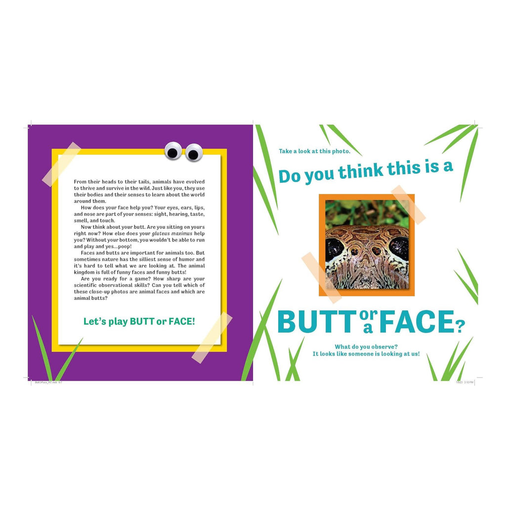 Butt or Face? - sample spread 1.