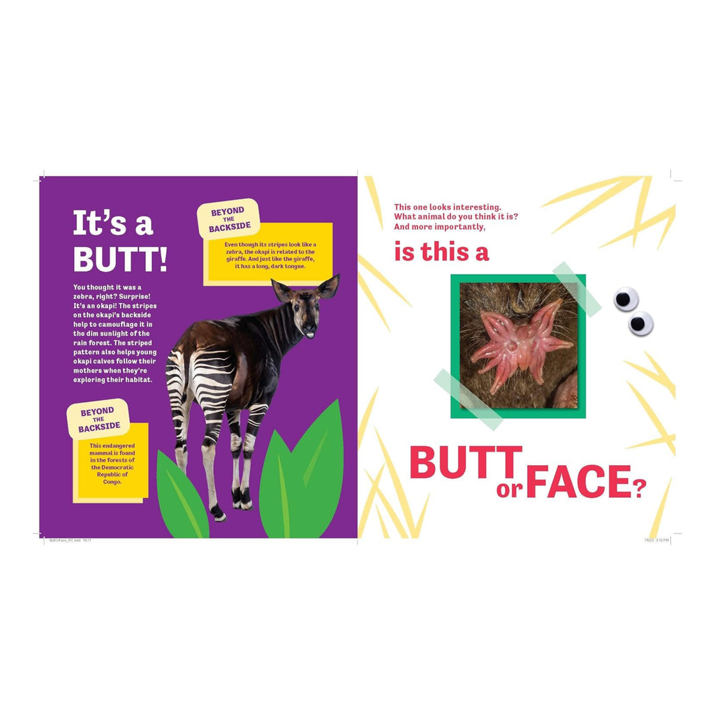 Butt or Face? - sample spread 3.