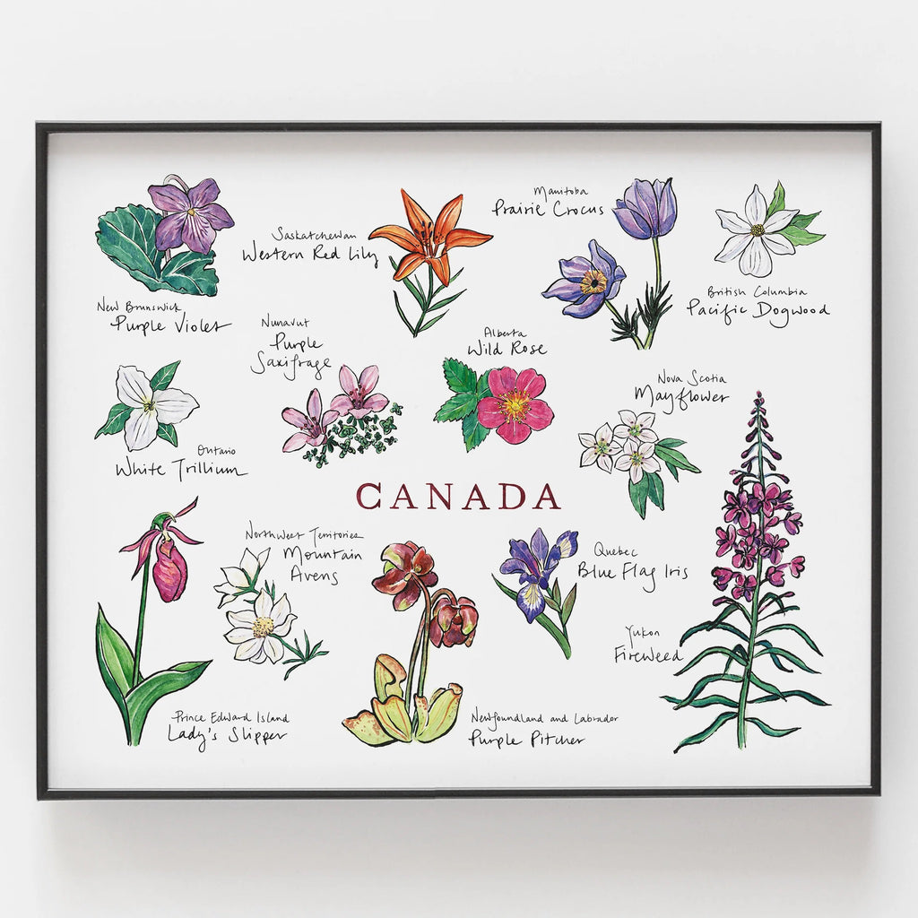 Canada Floral Emblems 8 x 10 Archival Print.