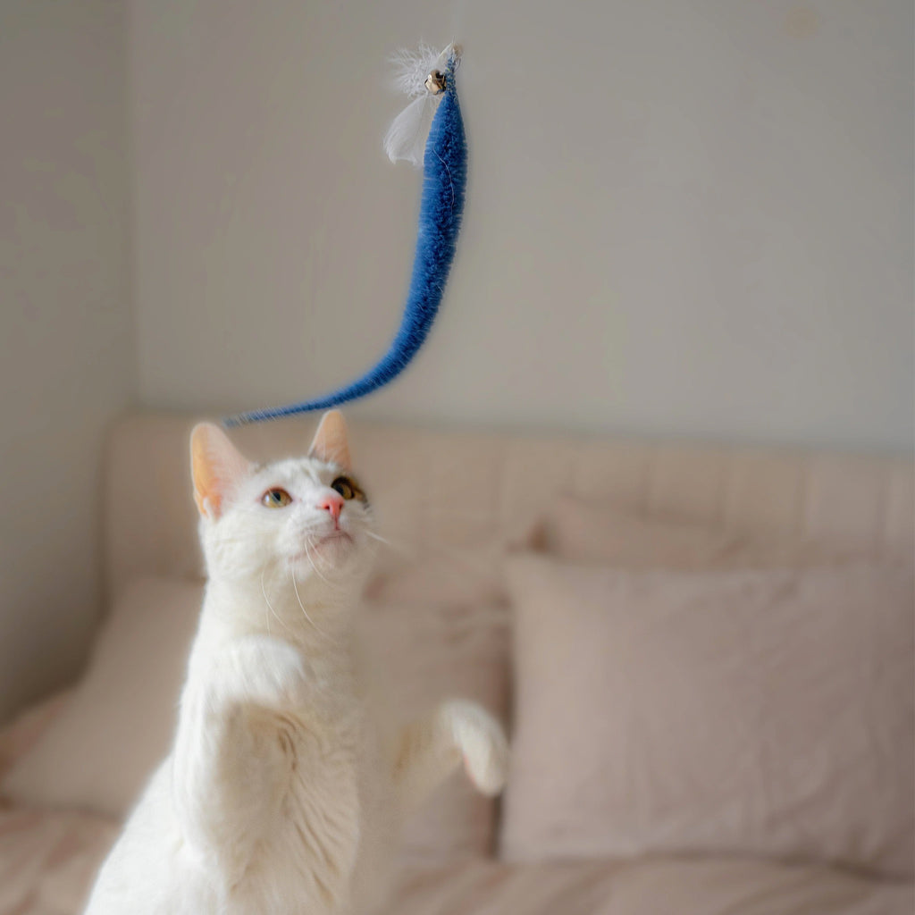 CAt having fun with Kitty Teaser Wand.