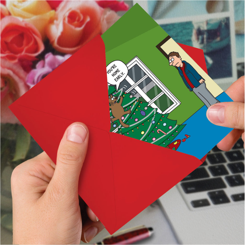 Cat In Tree Christmas Card in hand.