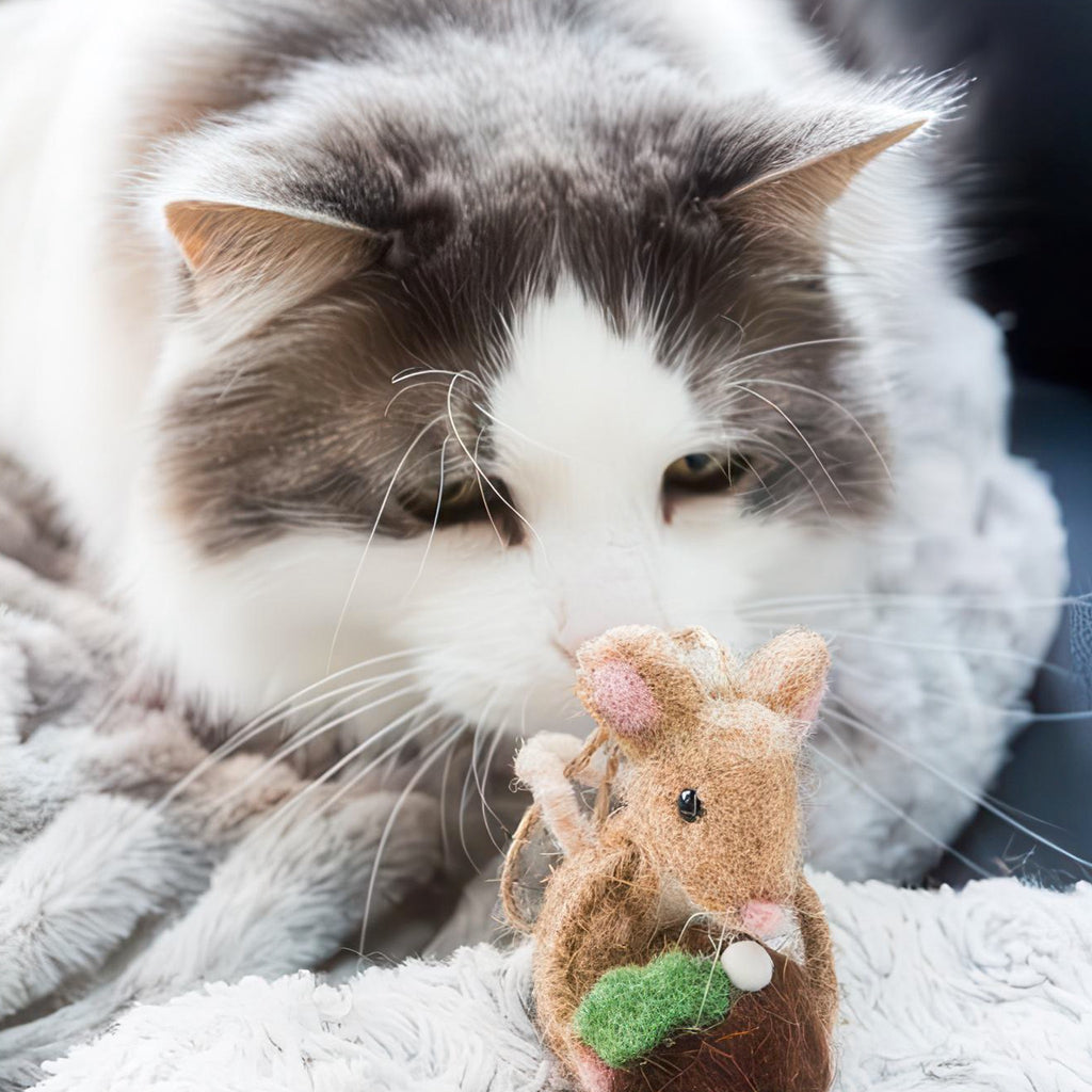 Cat lookiung at Mouse With Christmas Pudding Ornament.