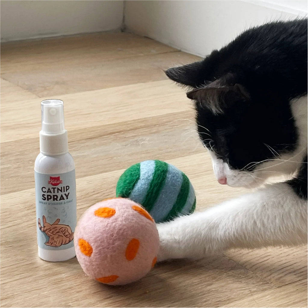 CAt playing with Kiko Spray & Play.