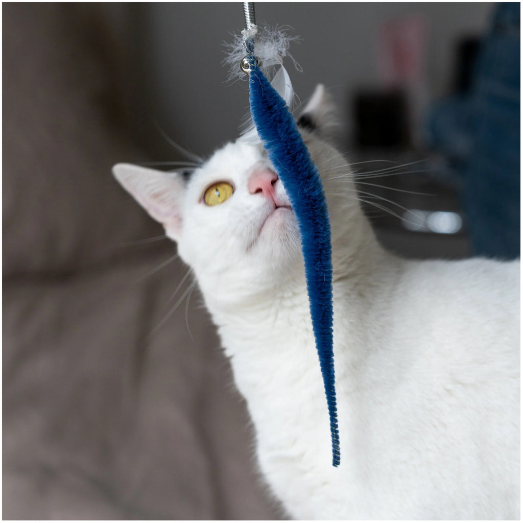 Cat playing with Kitty Teaser Wand.