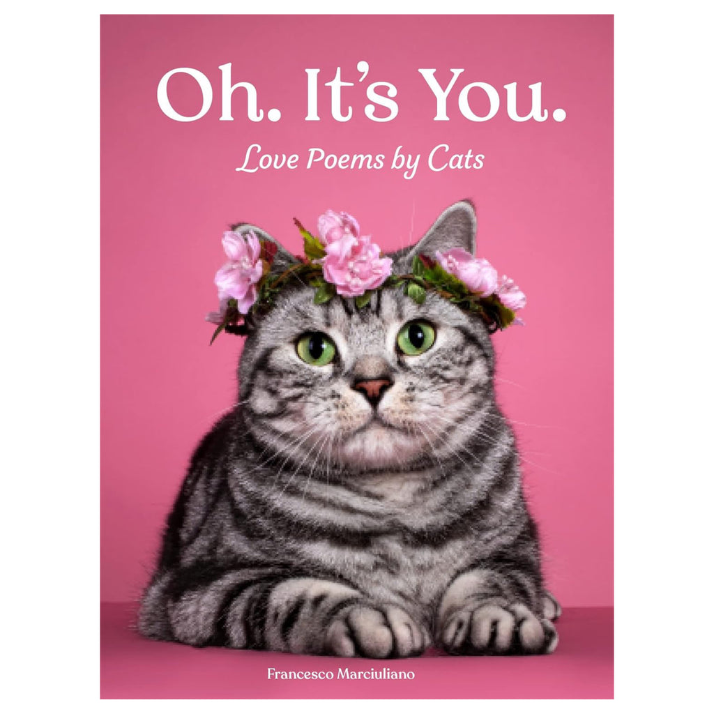 Cat poems book.