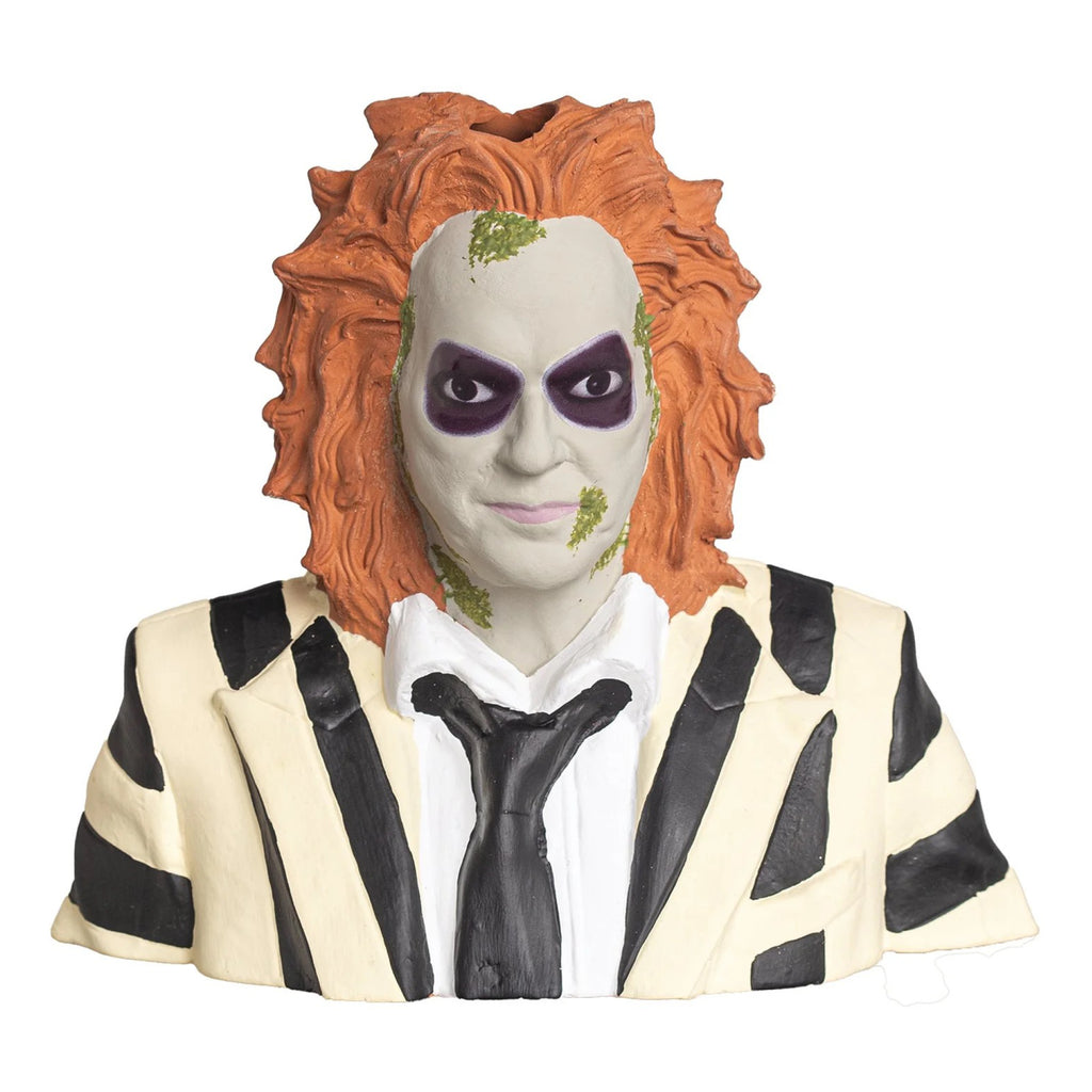 Chia Pet Beetlejuice out of box.