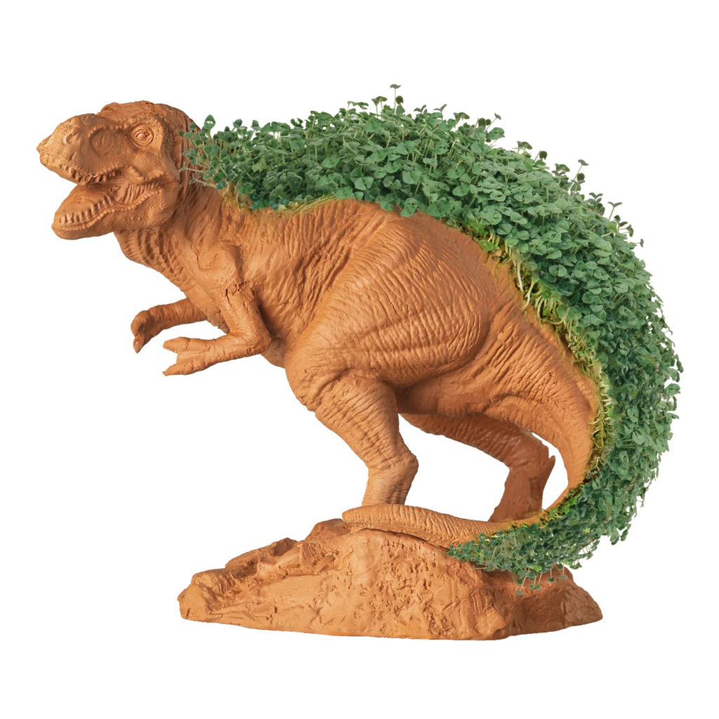 Chia Pet T-Rexa.