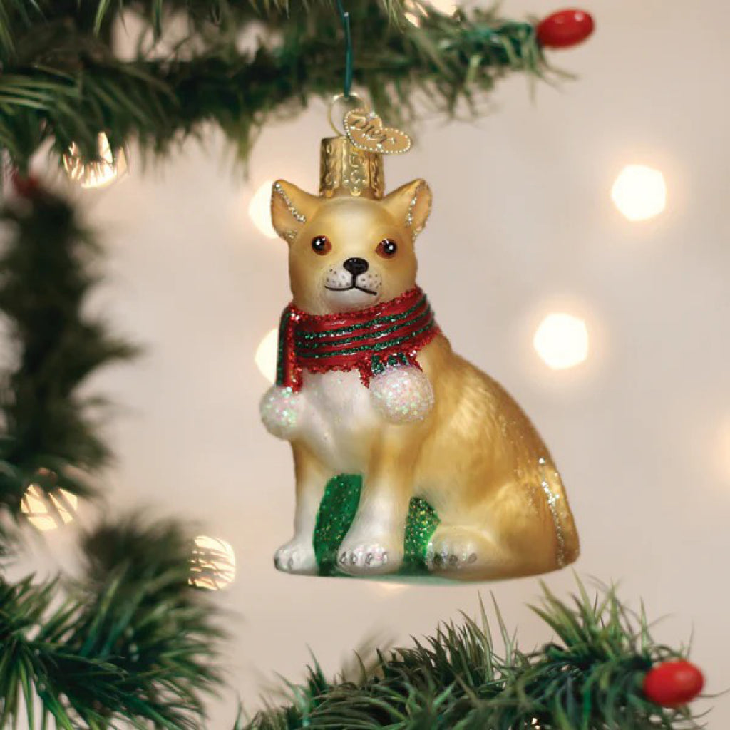 Chubby Chihuahua Ornament in tree.