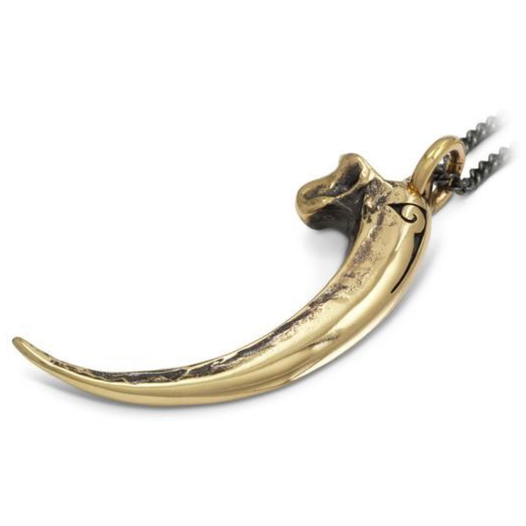 Close-up view of Golden Eagle Talon Necklace Bronze.