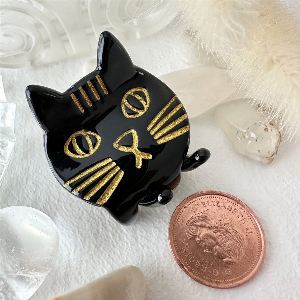 Close-up view of Mini Cat Hair Claw Black.