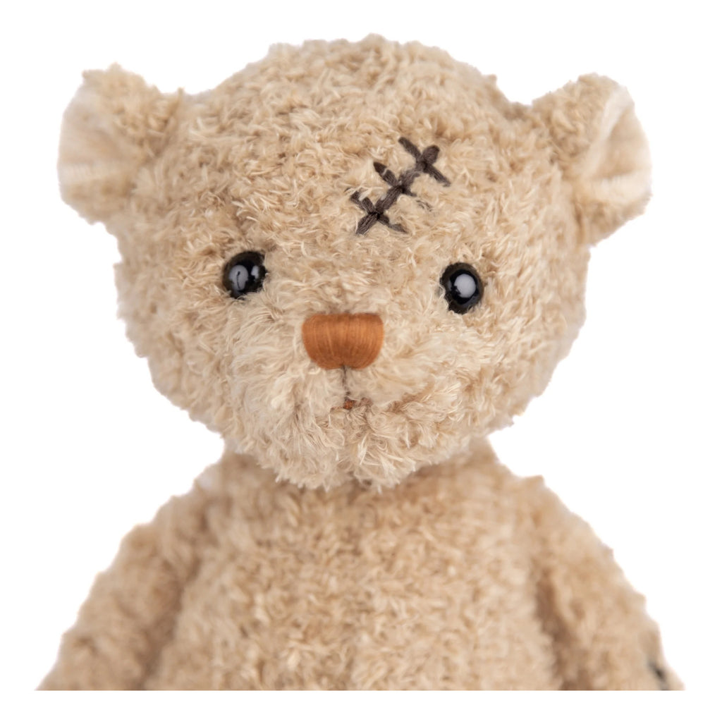Close-up view of Nobody is Perfect Bear.