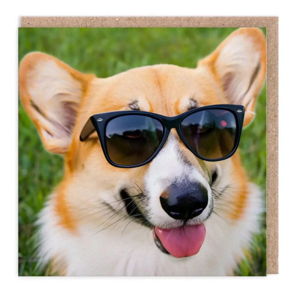 Corgi In Sunnies Blank Greeting Card.