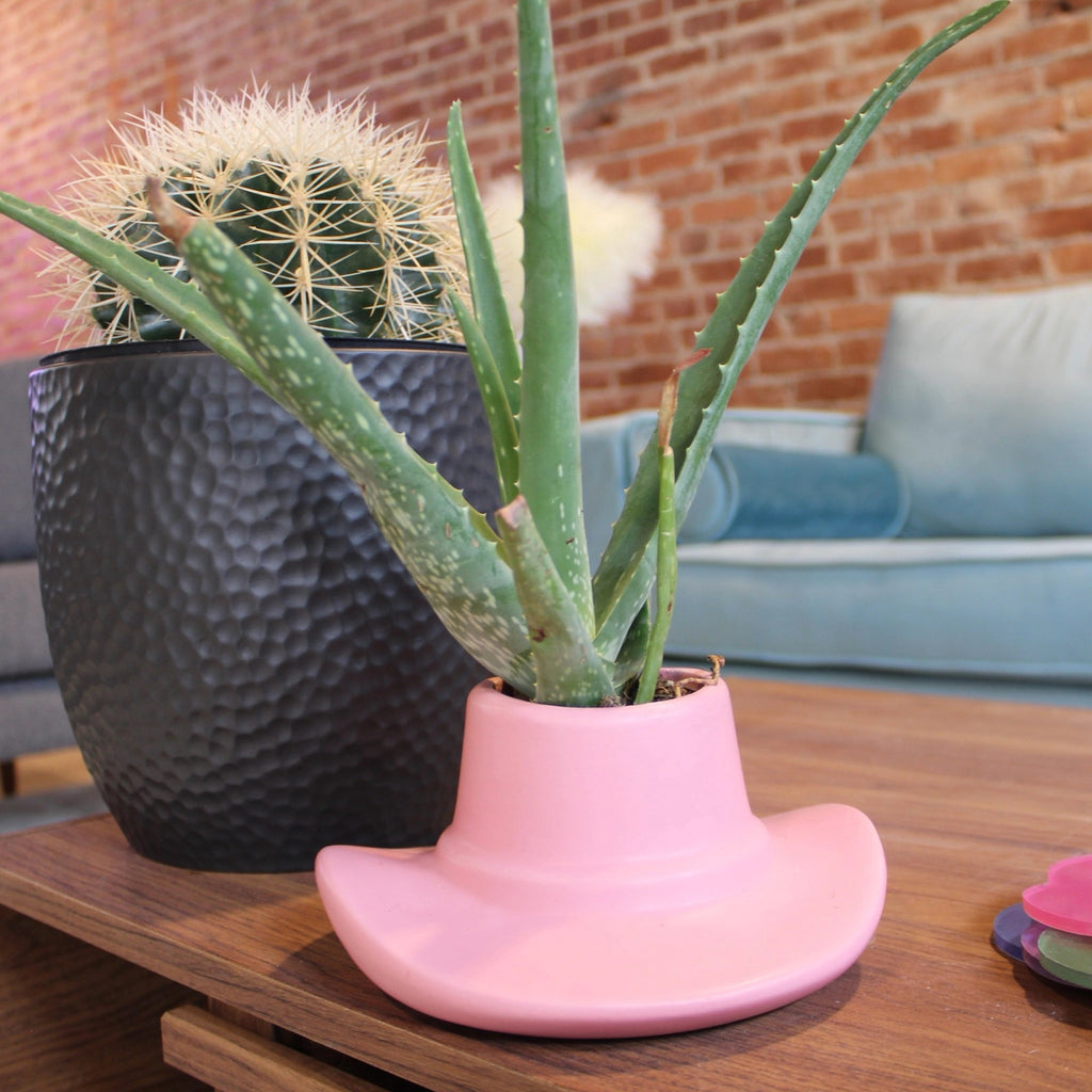 Cowboy Planter with plant.