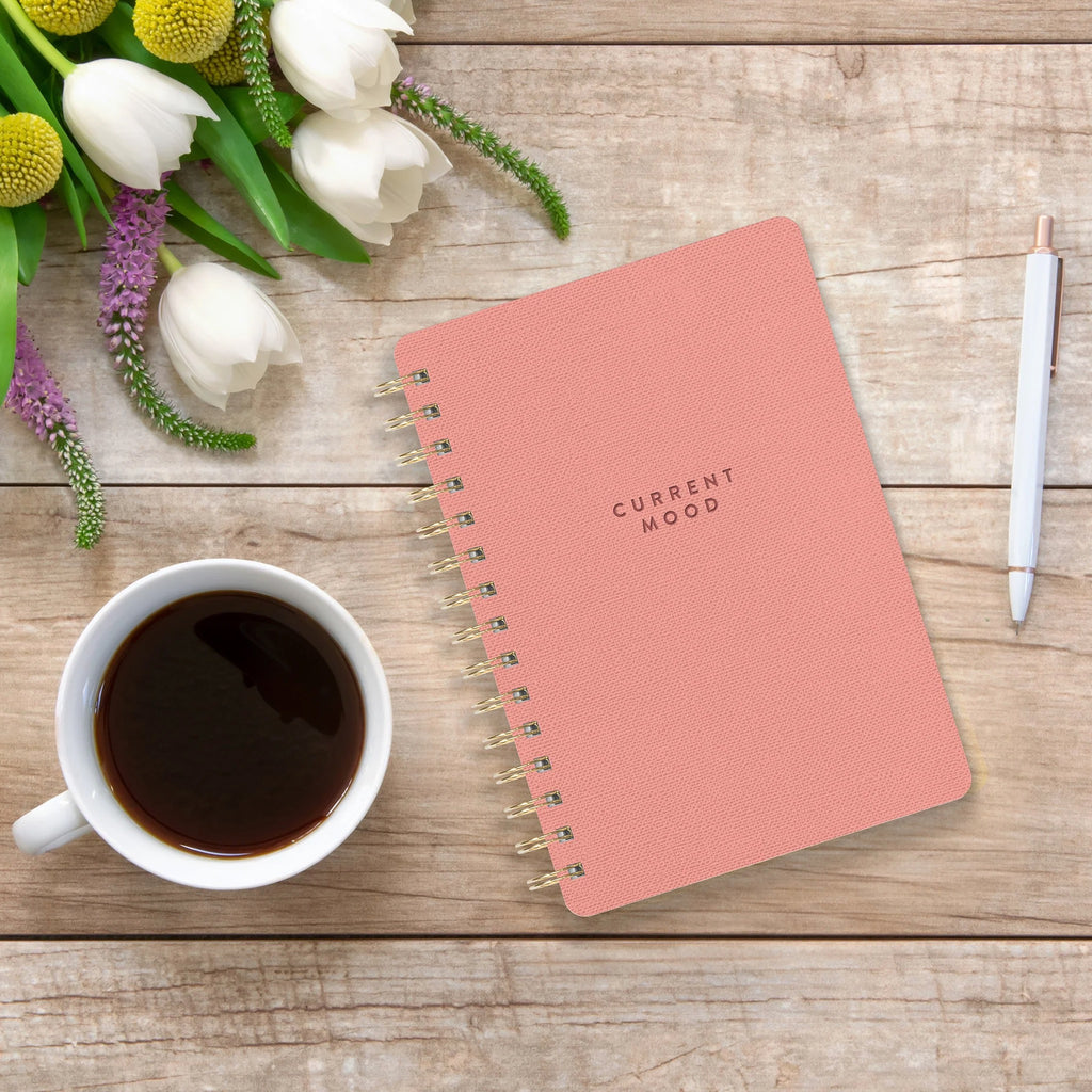 Current Mood Coral Pink Agatha Notebook on table.