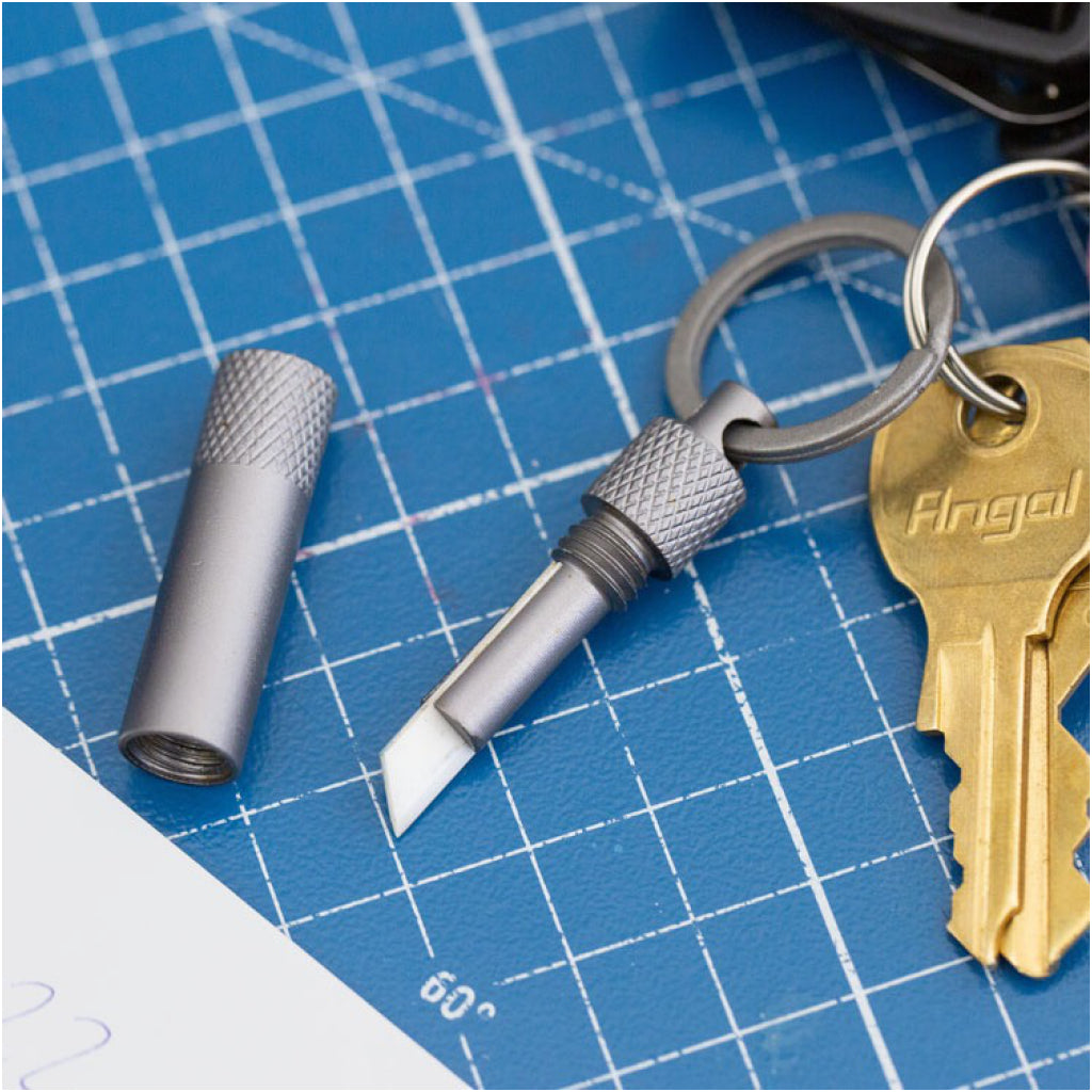 Cut It Out! Key Ring on surface.