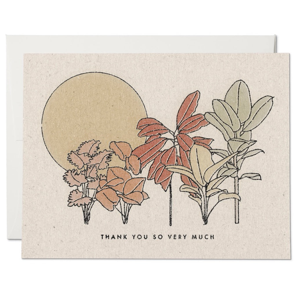 Desert Plants Thank You Card.