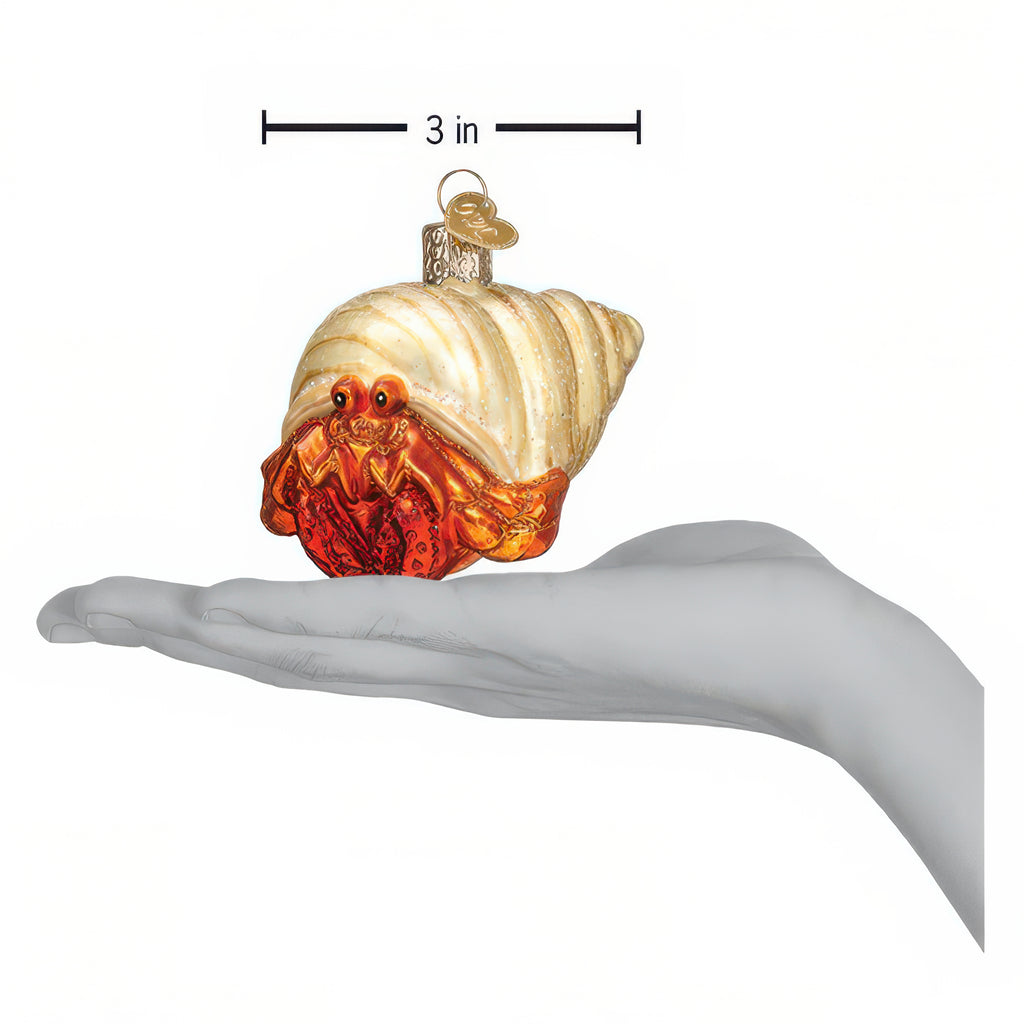 Dimensions of Hermit Crab Ornament.