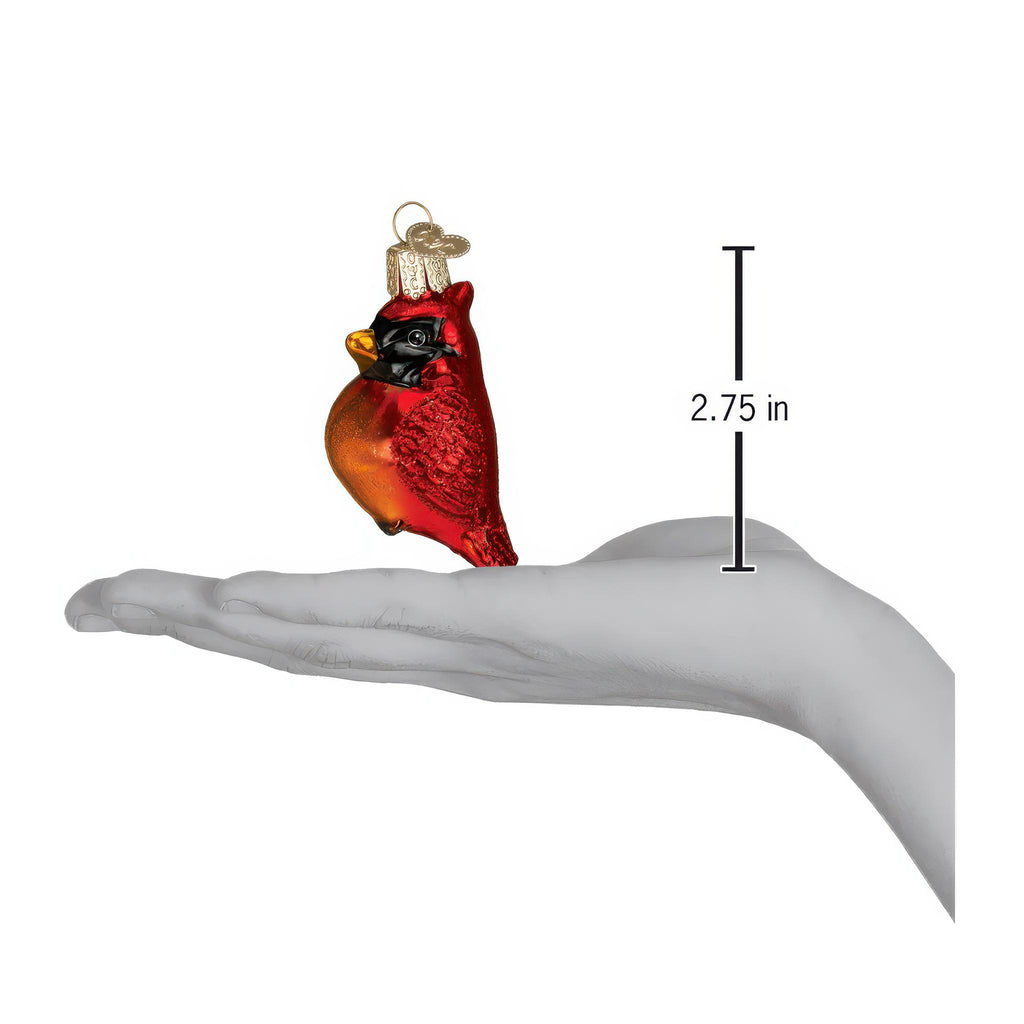 Dimensions of Small Cardinal Ornament.