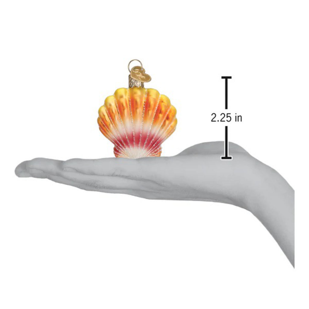 Dimensions of Sunrise Shell Ornament.