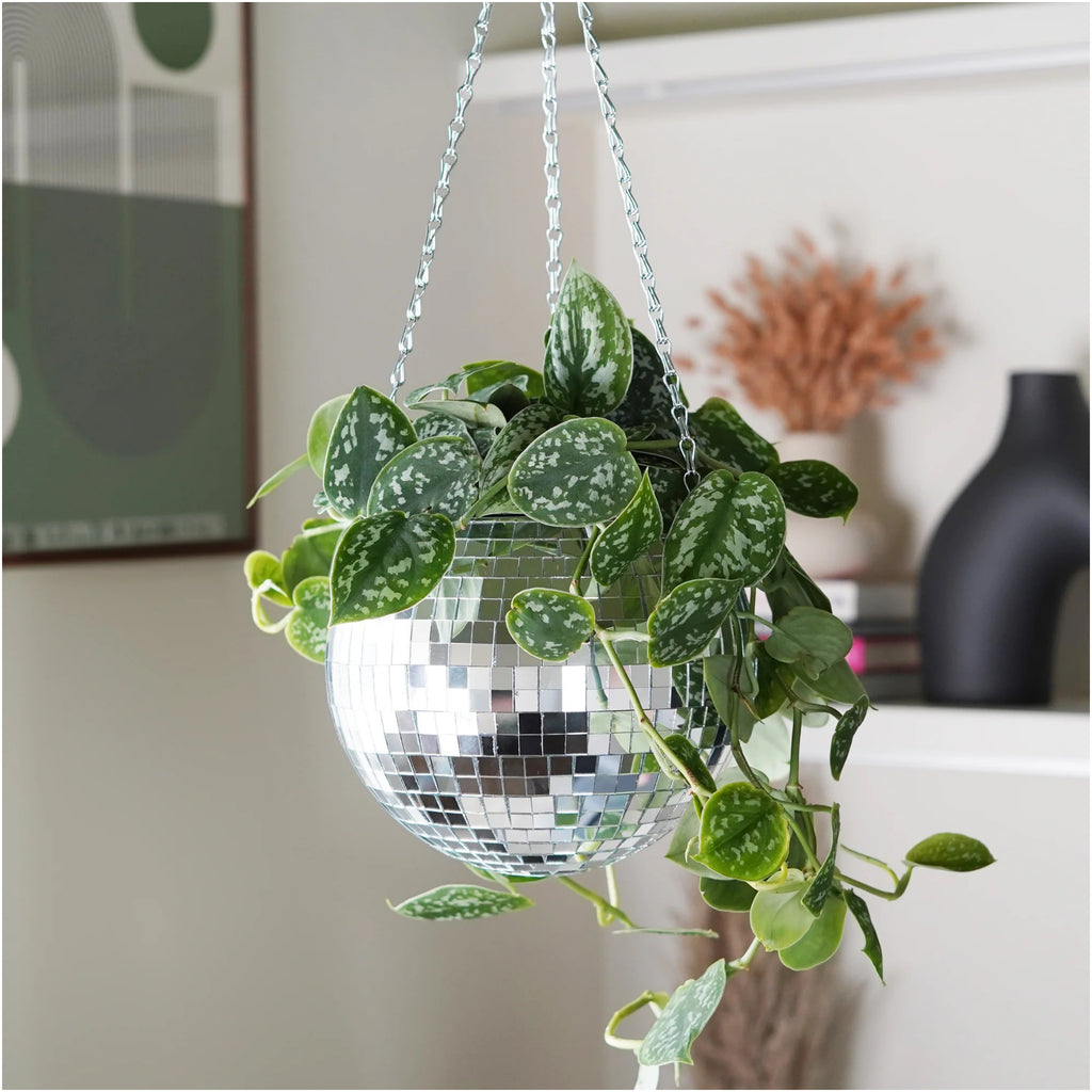 Disco Ball Hanging Planter 8 Inch.