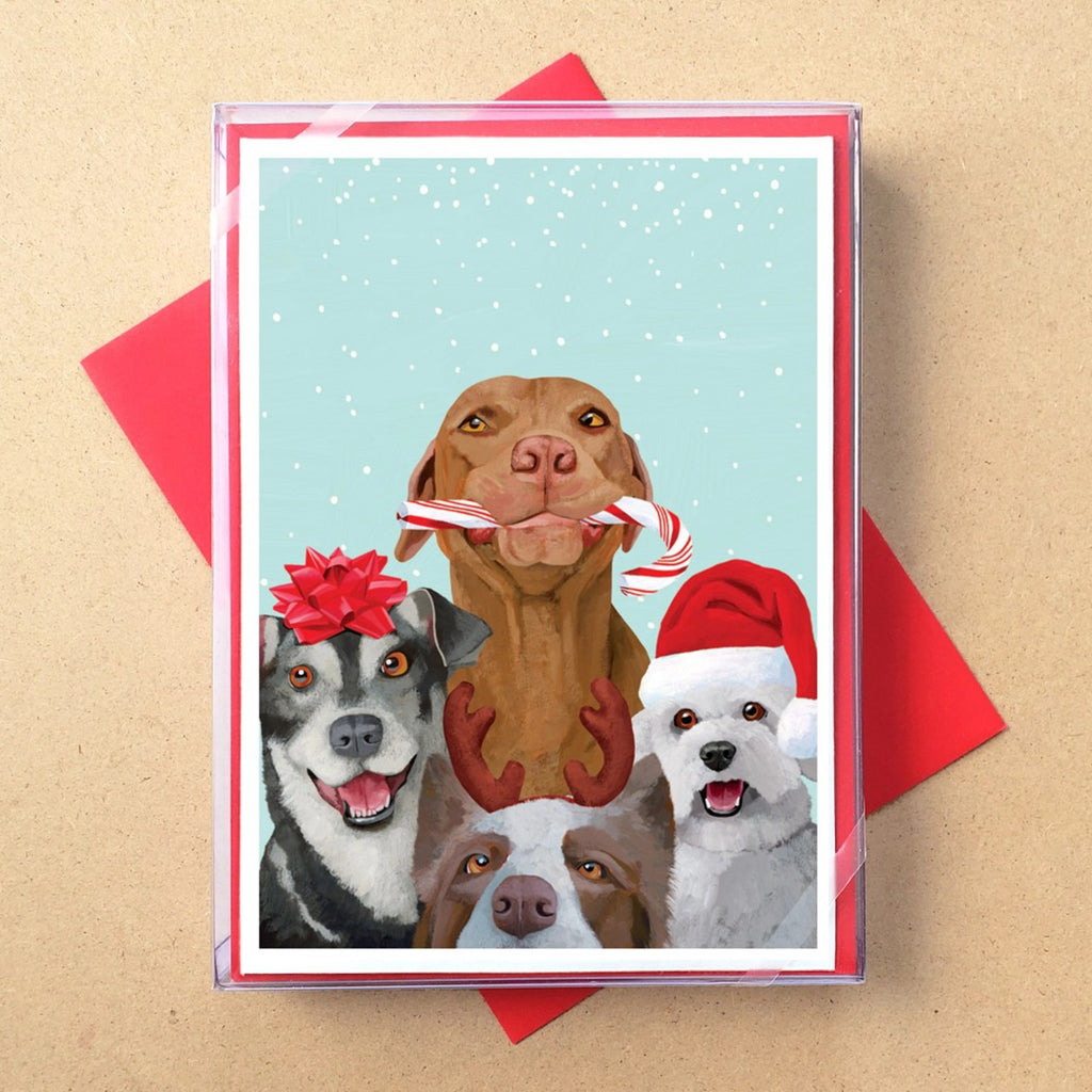 Dog Pals Boxed Holiday Cards packaging.