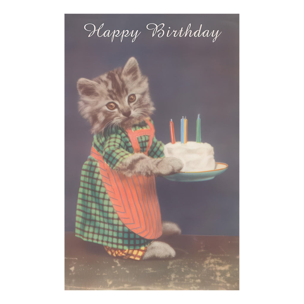 Dressed Kitten With Cake Birthday Card.
