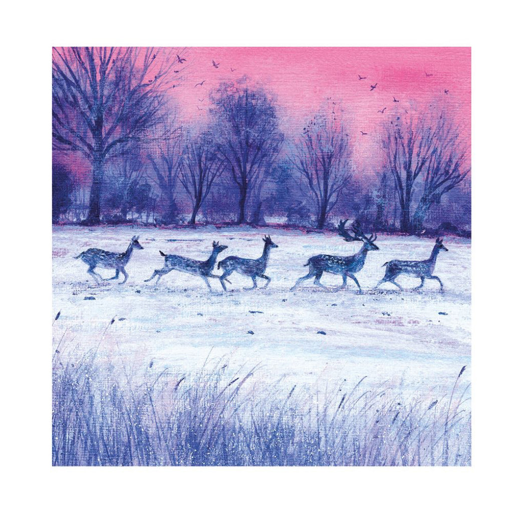 Dusk And Dawn Boxed Christmas Cards Deer.