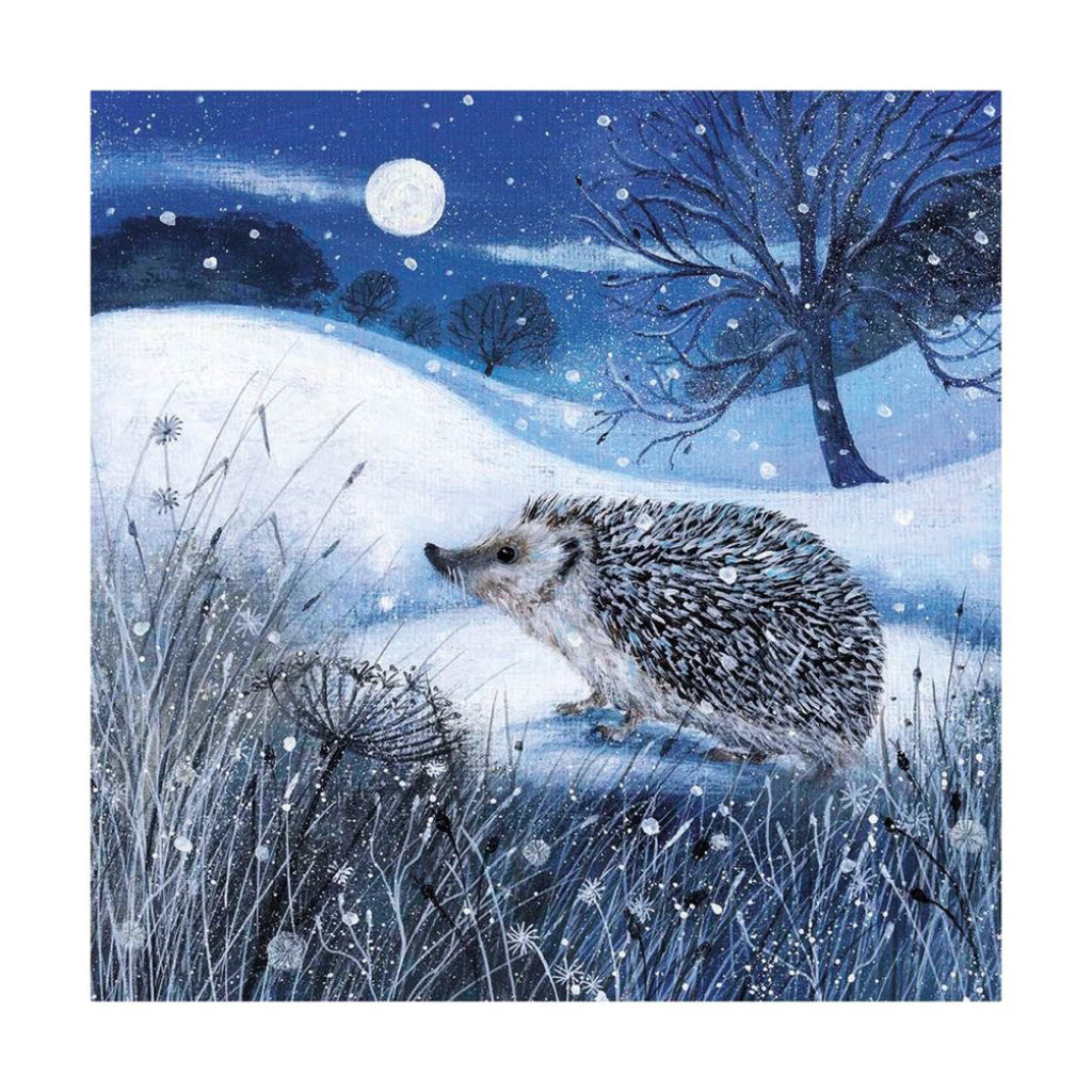 Dusk And Dawn Boxed Christmas Cards Hedgehog.