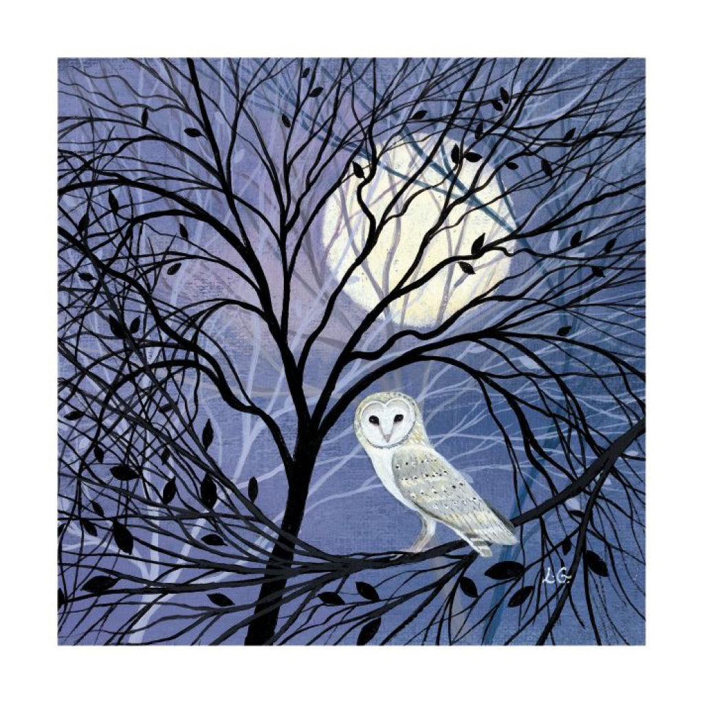 Dusk And Dawn Boxed Christmas Cards Owl.