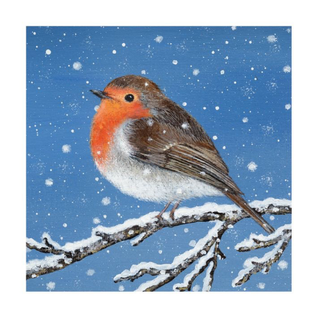 Dusk And Dawn Boxed Christmas Cards Robin.